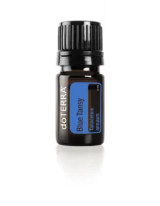 blue-tansy-5-ml