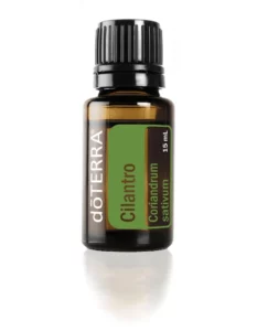cilantro-15ml