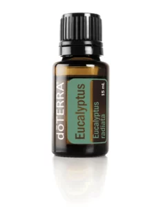 eucalyptus-15ml