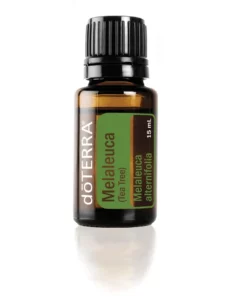 Tea Tree Essential Oil to kill viruses