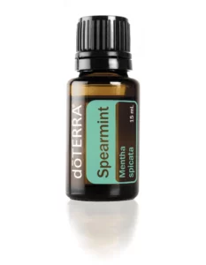 spearmint-15ml